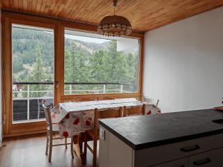 Apt 45 m2 sur les pistes - 0