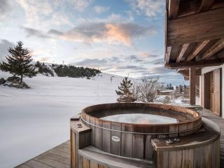 Chalet d'exception avec sauna et jacuzzi, accès direct aux pistes - FR-1-563-111 - 0