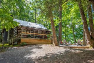 Cozy Cabin Overlooking Close to Boone and West Jefferson - 9