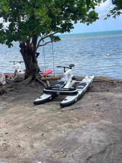 Sea Breeze inn - 7
