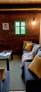 Cozy wooden house Robinia - Otočac - 9