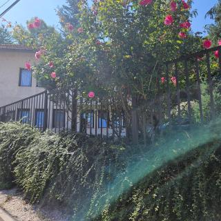 Elsas Residence - 8