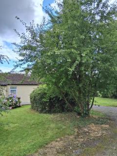 Ciaran's cottage - 6