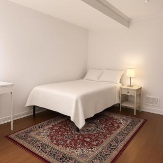 Luxury and cozy 1BR Retreat - 4