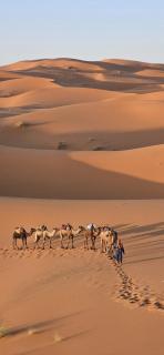 Maison Merzouga Guest House - 6