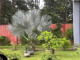 Nosso lar - Marituba - 9