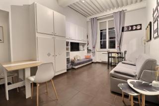 Nest in heart of Lyon - 8