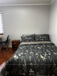Hostal Verde Bendito Depto 2 Temuco - 9
