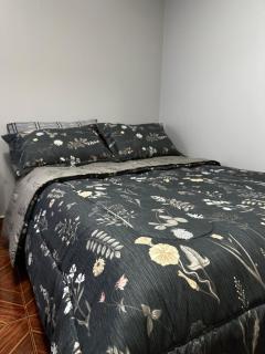 Hostal Verde Bendito Depto 2 Temuco - 4