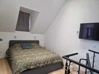 Appartement duplex hypercentre - 1
