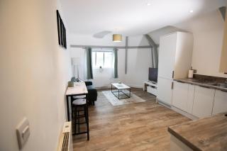 Stylish, Spacious 1 Bedroom Apartment, central - 5
