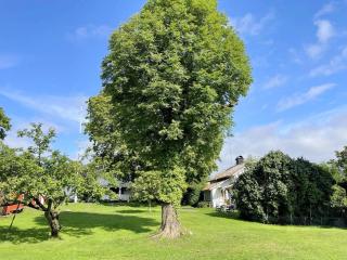 4 person holiday home in BJÖRKÖ-By Traum - 8