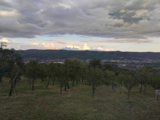 Cabana Valea Brazilor - 1