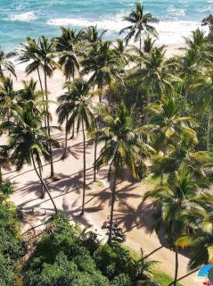 Playa Rene RD - 6