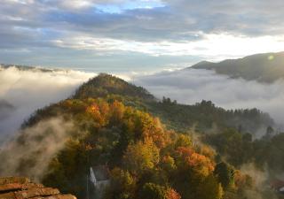 Holidays with a view of Montecarlo di Lucca - 4