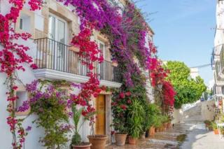 2BR Ground-Floor Villa Apartment with Pool, 10mins drive to Ibiza Airport - 7