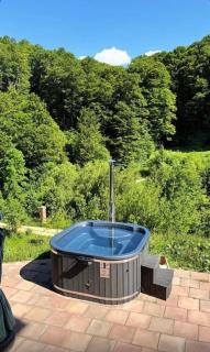 Pensiunea 7 Brazi II - 9