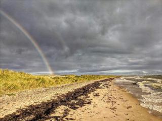 4 person holiday home in Rødby-By Traum - 5