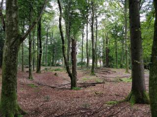 Lakefront Gem in Skarrild - By Traum Ferienwohnungen - 9