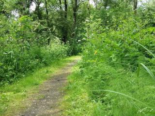 Lakefront Gem in Skarrild - By Traum Ferienwohnungen - 2