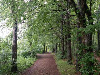 Lakefront Gem in Skarrild - By Traum Ferienwohnungen - 3
