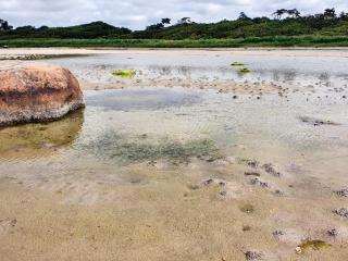 4 person holiday home in Jægerspris-By Traum - 1