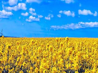 4 person holiday home in Jægerspris-By Traum - 2