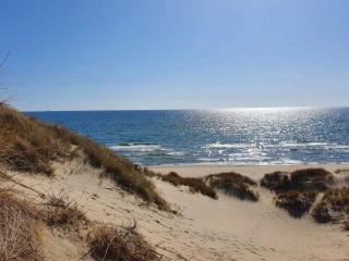 5 star holiday home in Ålbæk-By Traum - 1