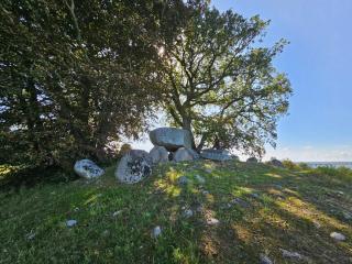 6 person holiday home in Vordingborg-By Traum - 3