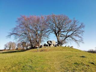 6 person holiday home in Vordingborg-By Traum - 4