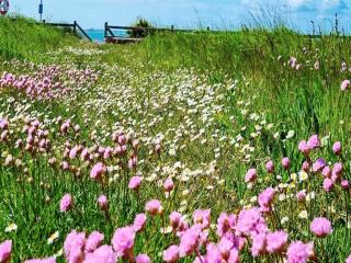 10 person holiday home in Slagelse - 6