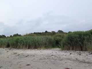 4 person holiday home in Allingåbro-By Traum - 1