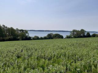 4 person holiday home in Aabenraa-By Traum - 3