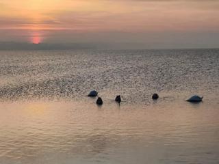 6-Person Home in Ærøskøbing-By - 3