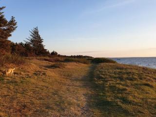 5 person holiday home in Tarm-By Traum - 6