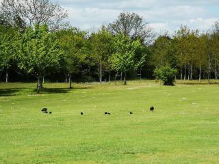 Cozy Seaside Retreat in Eno-By Traum - 3