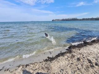 4 person holiday home in Hejls-By Traum - 2