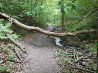 8 person holiday home in Brovst-By Traum - 1