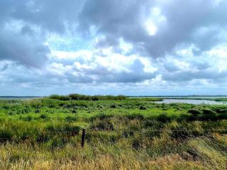 8 person holiday home in Skjern-By Traum - 3