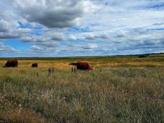 8 person holiday home in Skjern-By Traum - 4