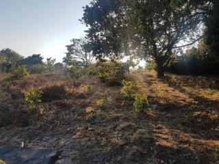 4 person holiday home in Ebeltoft-By Traum - 4