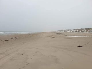 8 person holiday home in Saltum-By Traum - 4