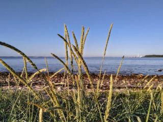 6 person holiday home in Rønde-By Traum - 3