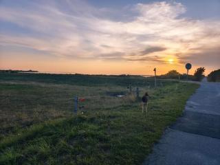 4 star holiday home in Bogense - 4