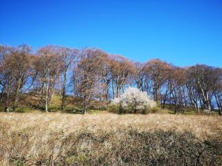 Beautiful holiday home in Borre-By Traum - 1