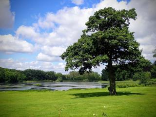 7 person holiday home in Svendborg-By Traum - 3