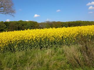 7 person holiday home in Svendborg-By Traum - 5