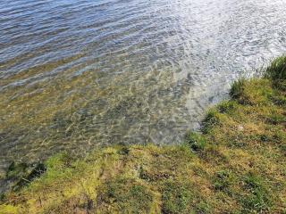 4 star holiday home in Ørsted-By Traum - 1