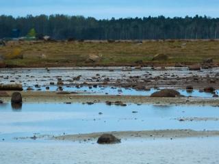 6 person holiday home in Læsø-By Traum - 1