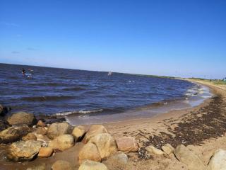 Seaside Serenity at Skaven Strand-By Traum - 3